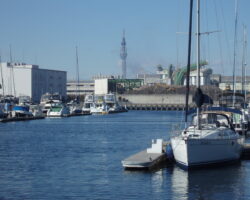 東京夢の島マリーナに行ってきました。